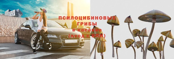 ECSTASY Туринск