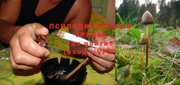 соль курить ск Ладушкин