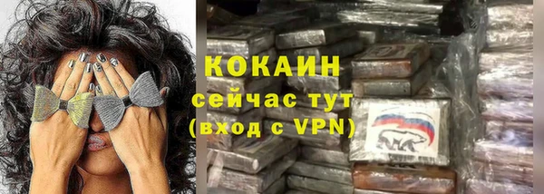 твердый Лабытнанги