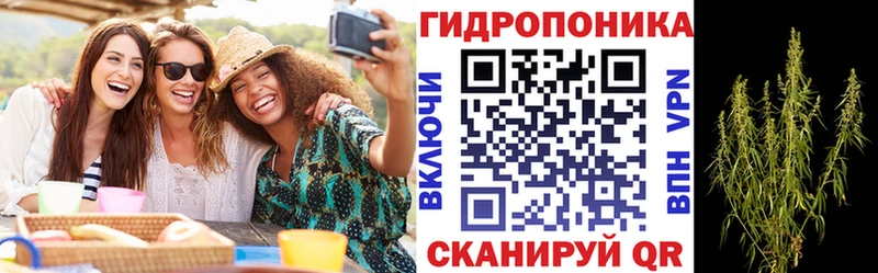 Каннабис Bruce Banner  mega онион  Стрежевой  наркошоп 